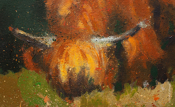 Coo (detail)