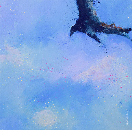 Turkey Vulture