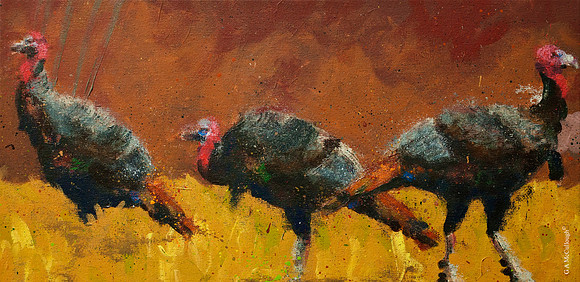 Turkey Crossing