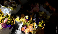 Flower Market  (2A)