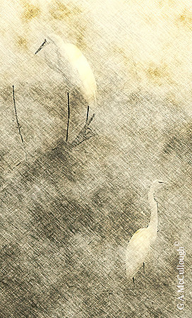 EGRETS 2M