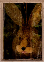 At The Window