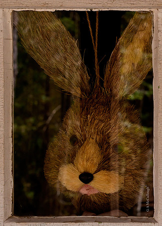 At The Window