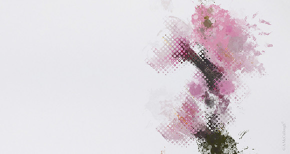 Spring Blossom 4.6C
