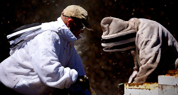 Beekeepers 1.34B
