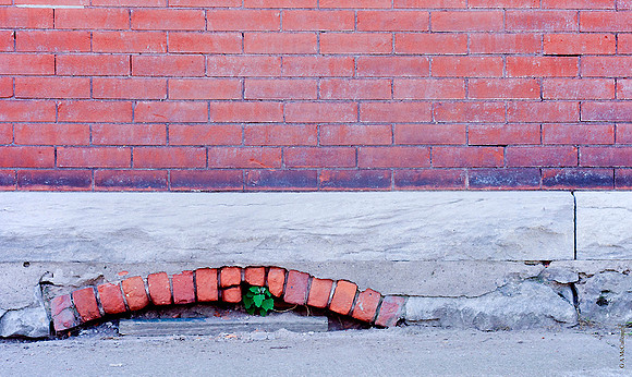 Casement With Green