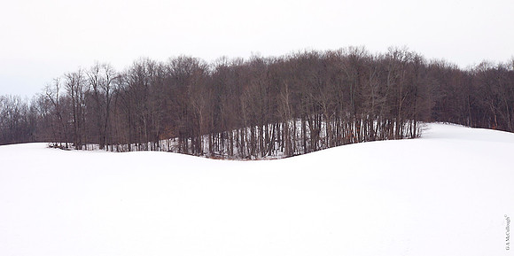 Snowfall