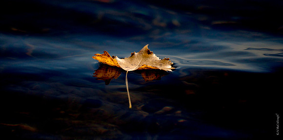 Surface tension