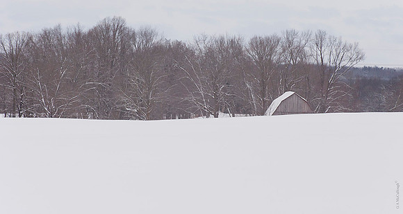 Winter landscape 1.0