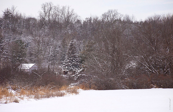 Winter landscape 2.0