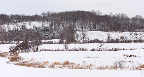 Winter landscape 3.0