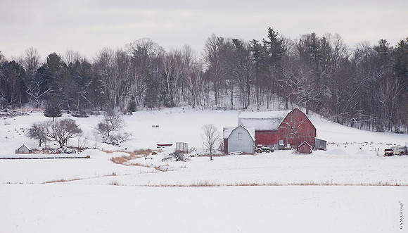 Winter landscape 6.0