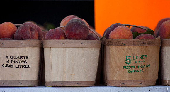 Farmers Market 35