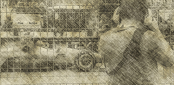 Molson Indy Photographer Fan