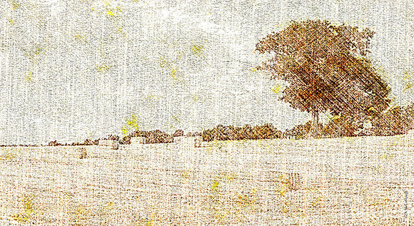 Hayfield