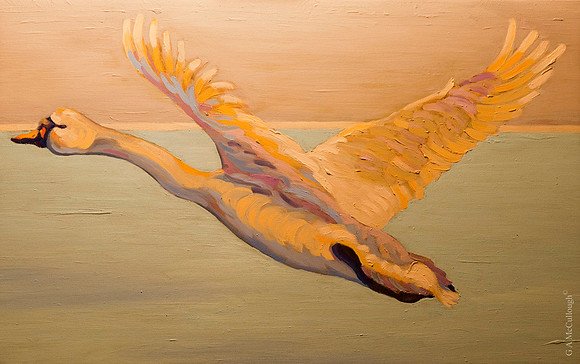 Winter flight