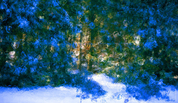 Winter light