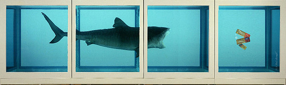 Prologue Canned Tuna