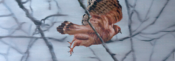 Release