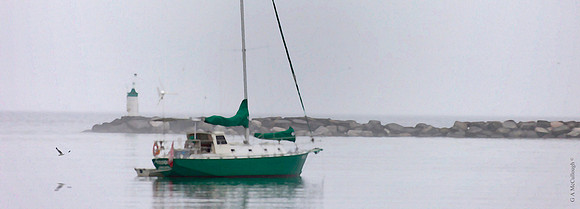 Silent Harbour 8B