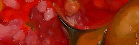 Heirloom Contemporary Packaged