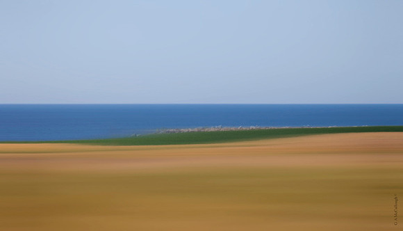 Horizon 399b