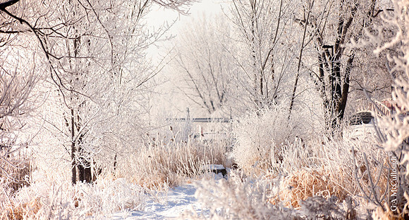 Winter 99a