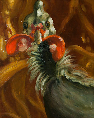 Young Turkey