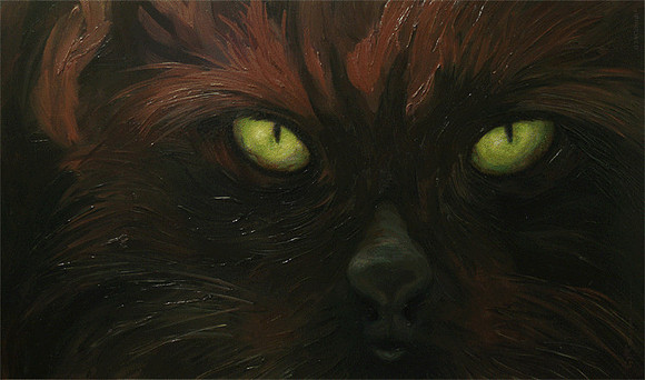 Pissed Cat  (anim)