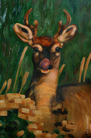 Snacktime