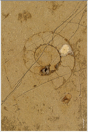 Underfoot 176b