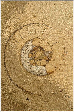 Underfoot 200a