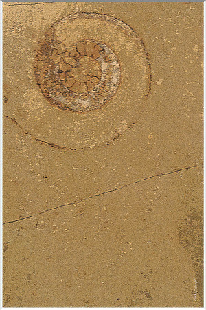 Underfoot 202a