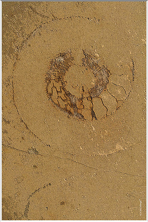 Underfoot 204a