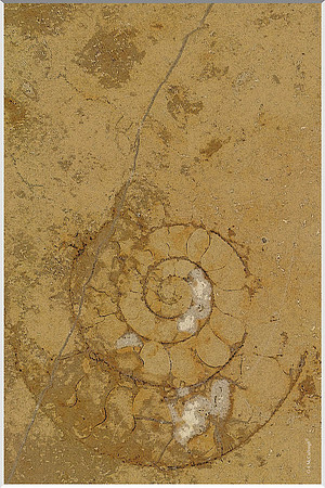 Underfoot 209a