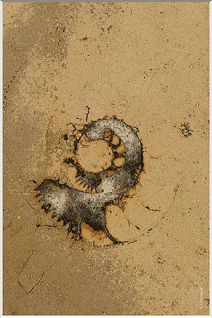 Underfoot 217a