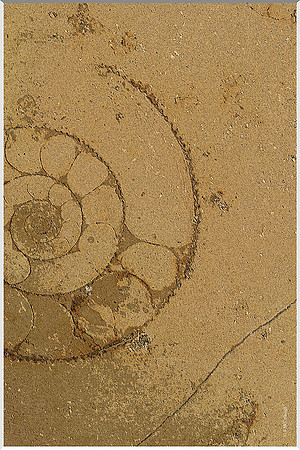 Underfoot 214a