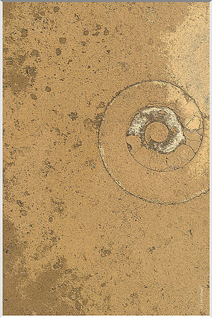 Underfoot 226a