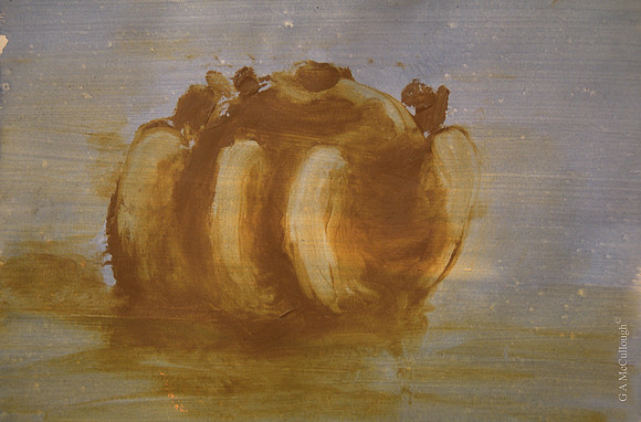Gourd