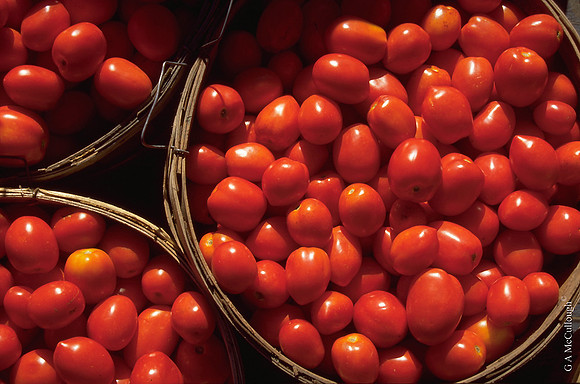 Mathematical Croppings Tomato