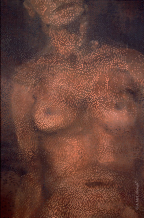 Torso