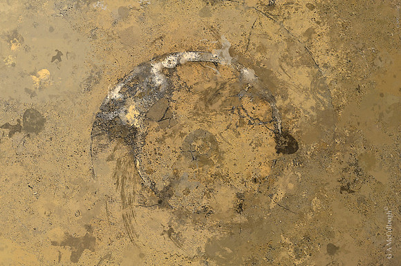 Quarried Galaxies 182B