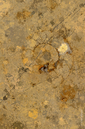 Quarried Galaxies 176B
