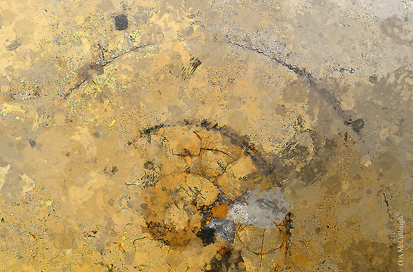 Quarried Galaxies 186B