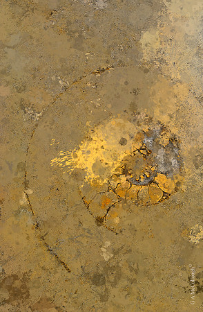 Quarried Galaxies 183B