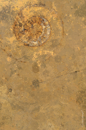 Quarried Galaxies 202B
