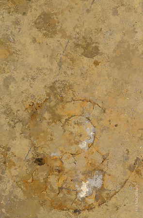 Quarried Galaxies 209B1