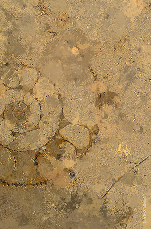 Quarried Galaxies 214B