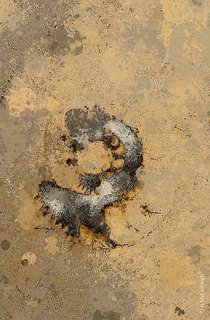 Quarried Galaxies 217B