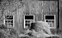 County Barnyard